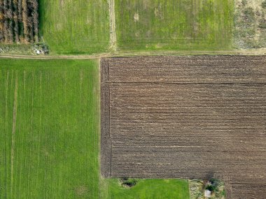 Bulgaristan 'ın Filibe Bölgesi' nin Tsalapitsa köyü yakınlarındaki Yukarı Trakya Ovası 'nın hava manzarası