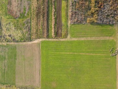 Bulgaristan 'ın Filibe Bölgesi' nin Tsalapitsa köyü yakınlarındaki Yukarı Trakya Ovası 'nın hava manzarası