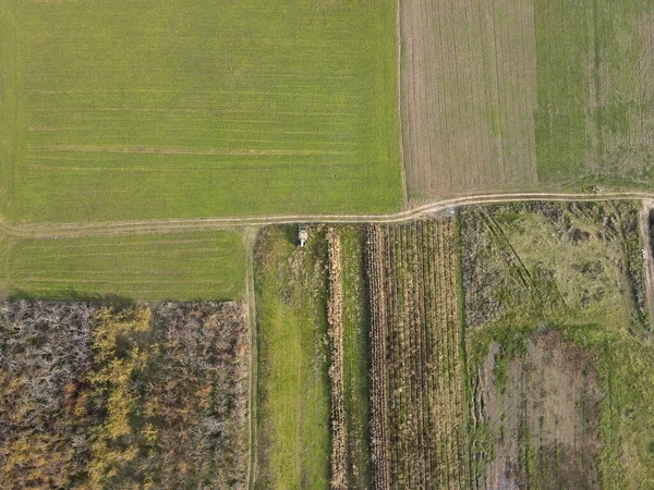 Vue Aérienne Plaine Thrace Supérieure Près Village Tsalapitsa Région Plovdiv — Photo