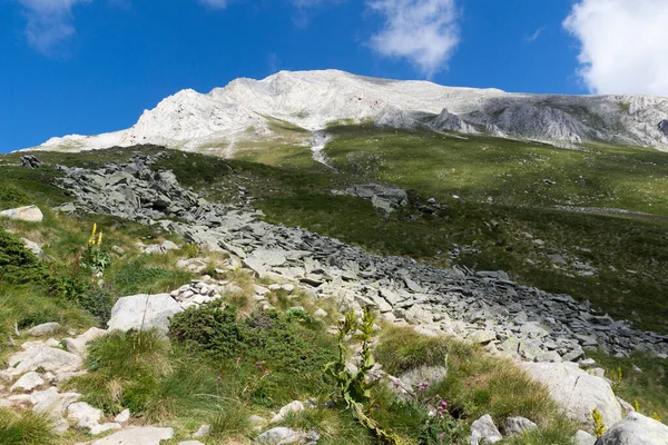 Дивовижний Ландшафт Гори Вірен Пірін Болгарія — стокове фото