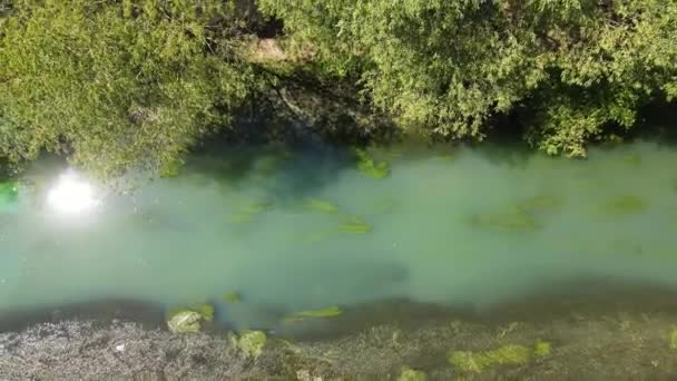 Bulgaristan Altın Panega Nehri Boyunca Iskar Panega Geopark Hava Manzarası — Stok video
