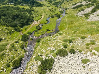 Bulgaristan 'ın Pirin Dağı' ndaki Banderitsa Nehri 'nin hava manzarası