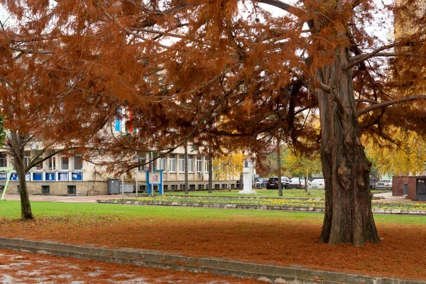 Montana Bulgaria Noviembre 2020 Edificio Típico Calle Centro Ciudad Montana —  Fotos de Stock