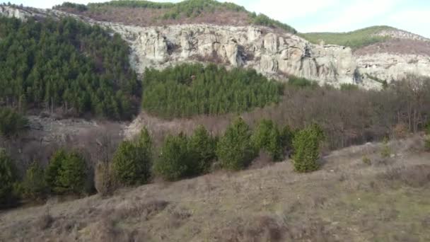 Dazhdovnitsa的空中景观 保加利亚卡尔扎里地区罗得波山脉的古老色雷斯保护区 — 图库视频影像