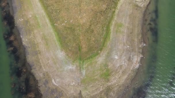 Pemandangan Udara Pulau Waduk Batak Region Pazardzhik Bulgaria — Stok Video