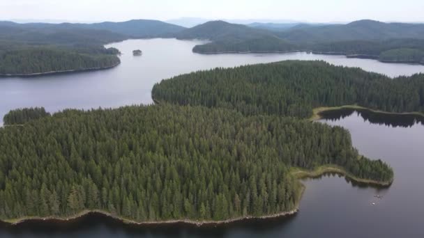 Shiroka Polyana Geniş Çayır Reservoir Pazardzhik Bölgesi Bulgaristan — Stok video