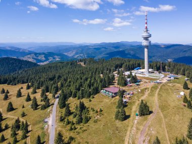 Rodop Dağları ve Snezhanka Kulesi, Smolyan Bölgesi, Bulgaristan