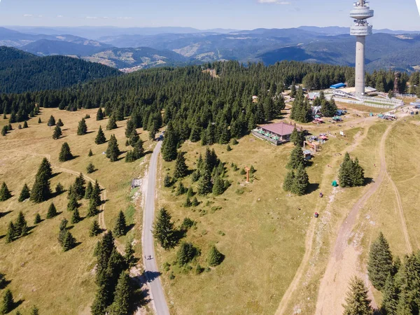 Luftaufnahme Der Rhodopen Und Des Snezhanka Turms Gebiet Smolyan Bulgarien — Stockfoto