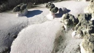 Bulgaristan 'ın Kardzhali bölgesindeki Beli plast köyü yakınlarındaki Taş Mantarları Kaya oluşumunun hava görüntüsü