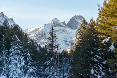 Malyovitsa 'nın şaşırtıcı kış manzarası, Rila Dağı, Bulgaristan