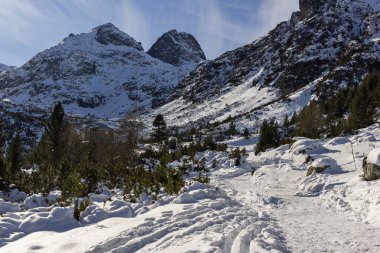 Malyovitsa 'nın şaşırtıcı kış manzarası, Rila Dağı, Bulgaristan