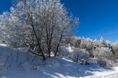 Vitosha Dağı 'nın kış manzarası, Sofya Şehir Bölgesi, Bulgaristan
