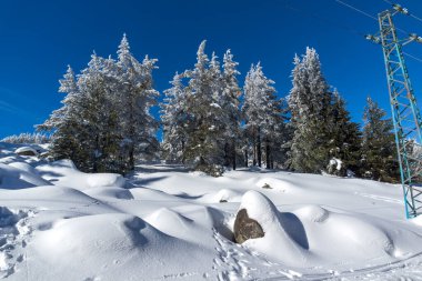 Vitosha Dağı 'nın kış manzarası, Sofya Şehir Bölgesi, Bulgaristan