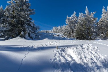 Vitosha Dağı 'nın kış manzarası, Sofya Şehir Bölgesi, Bulgaristan