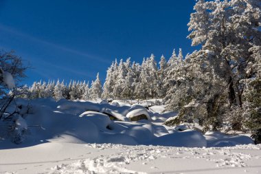 Vitosha Dağı 'nın kış manzarası, Sofya Şehir Bölgesi, Bulgaristan