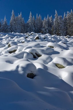 Vitosha Dağı 'nın kış manzarası, Sofya Şehir Bölgesi, Bulgaristan