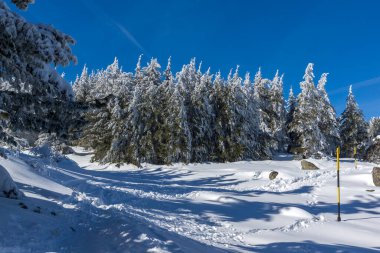 Vitosha Dağı 'nın kış manzarası, Sofya Şehir Bölgesi, Bulgaristan