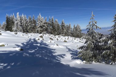 Vitosha Dağı 'nın kış manzarası, Sofya Şehir Bölgesi, Bulgaristan