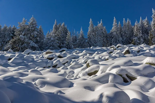 Vitosha Dağı Nın Kış Manzarası Sofya Şehir Bölgesi Bulgaristan — Stok fotoğraf