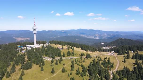 Flygfoto Över Rhodope Bergen Och Snezhanka Torn Nära Resort Pamporovo — Stockvideo