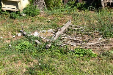 Bulgaristan 'ın Burgaz Bölgesi' nin tarihi Brashlyan köyündeki 19. yüzyıl evleri