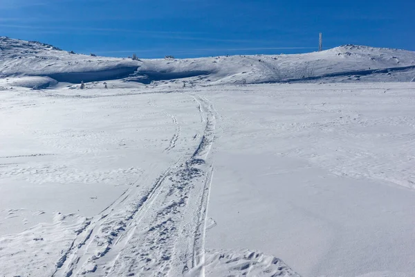 Χειμερινή Άποψη Της Περιοχής Platoto Στο Όρος Vitosha Περιφέρεια Της — Φωτογραφία Αρχείου