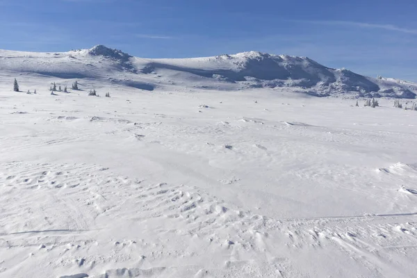 Χειμερινή Άποψη Της Περιοχής Platoto Στο Όρος Vitosha Περιφέρεια Της — Φωτογραφία Αρχείου