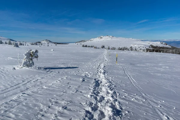 保加利亚索菲亚市Vitosha山Platoto地区冬季景观 — 图库照片