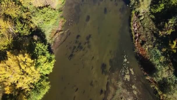 Luchtfoto Herfst Uitzicht Yantra Rivier Passeren Buurt Van Stad Byala — Stockvideo