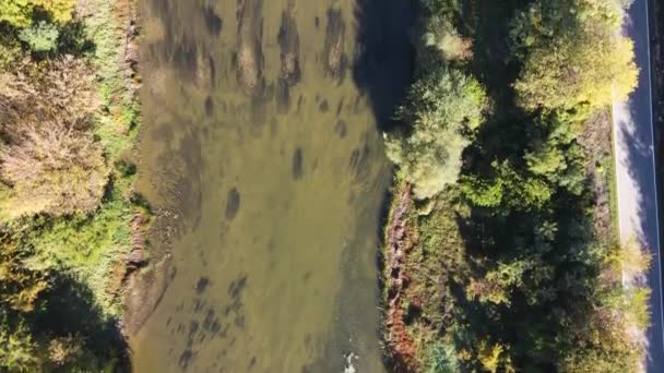 Luchtfoto Herfst Uitzicht Yantra Rivier Passeren Buurt Van Stad Byala — Stockvideo