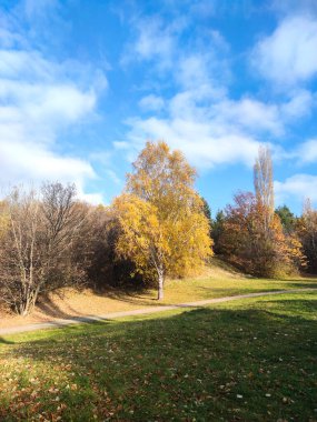 Bulgaristan 'ın Sofya kentindeki South Park' ın sonbahar manzarası