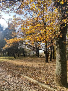 Bulgaristan 'ın Sofya kentindeki South Park' ın sonbahar manzarası