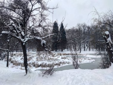 Bulgaristan 'ın Sofya kentindeki South Park' ın şaşırtıcı kış manzarası