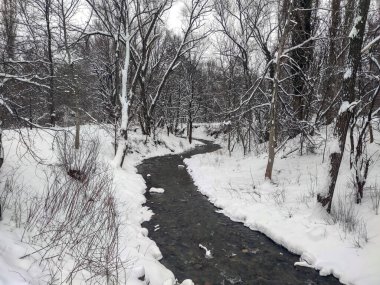 Bulgaristan 'ın Sofya kentindeki South Park' ın şaşırtıcı kış manzarası