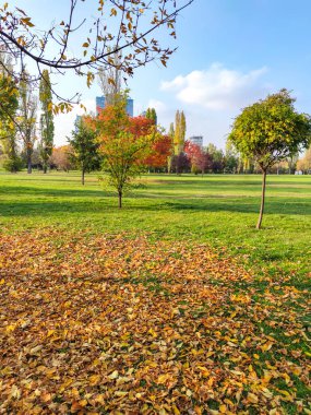 Bulgaristan 'ın Sofya kentindeki South Park' ın sonbahar manzarası