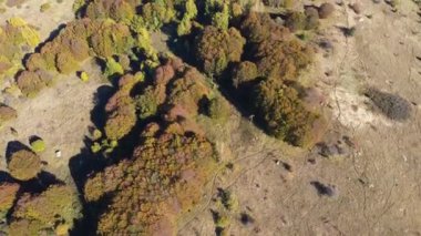 Bulgaristan 'ın Sofya Şehir Bölgesi' ndeki Vitosha Dağı 'nın Sonbahar havası manzarası