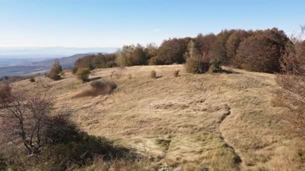 Vista Aérea Otoño Montaña Vitosha Región Ciudad Sofía Bulgaria — Vídeo de stock