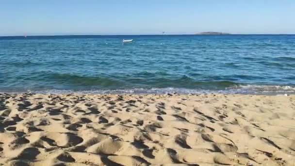 Κύματα Στην Παραλία Gradina Κήπος Κοντά Στην Πόλη Sozopol Περιφέρεια — Αρχείο Βίντεο