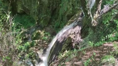 Bulgaristan 'ın Filibe bölgesindeki Rodos Dağı' nda Bachkovo şelaleleri çağlıyor