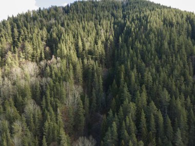 Bulgaristan 'ın Sandanski kenti yakınlarındaki Popina Laka bölgesinde Pirin Dağı' nın hava manzarası