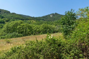 Bulgaristan 'ın Zasele kasabası yakınlarındaki Stara Planina Dağı' nın muhteşem manzarası