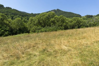Bulgaristan 'ın Zasele kasabası yakınlarındaki Stara Planina Dağı' nın muhteşem manzarası