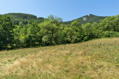 Bulgaristan 'ın Zasele kasabası yakınlarındaki Stara Planina Dağı' nın muhteşem manzarası