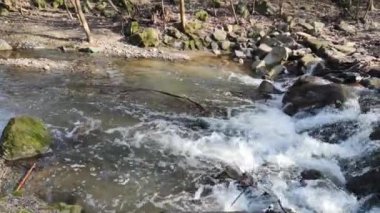 Bulgaristan 'ın Sofya kentindeki South Park' tan geçen Perlovska Nehri