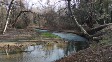 Bulgaristan 'ın Sofya kentindeki South Park' tan geçen Perlovska Nehri