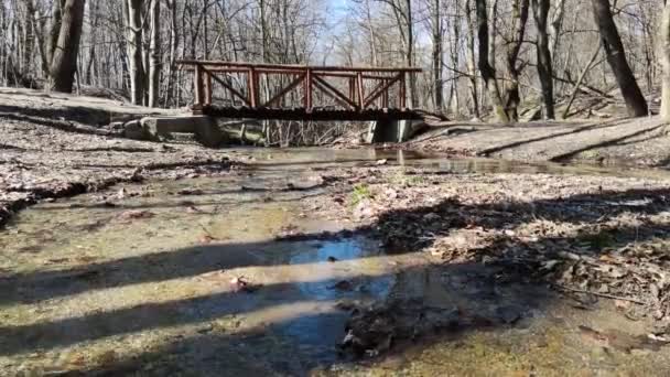 Vue Hiver Petite Rivière Montagne Vitosha Région Sofia City Bulgarie — Video