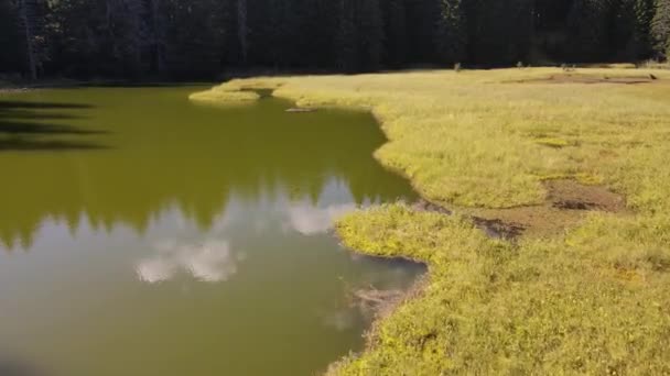 Veduta Aerea Del Lago Smolyan Grassy Trevistoto Sulle Montagne Rodopi — Video Stock