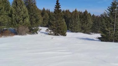 Bulgaristan 'ın Sofya Şehir Bölgesi, Vitosha Dağı' nın İnanılmaz Kış manzarası