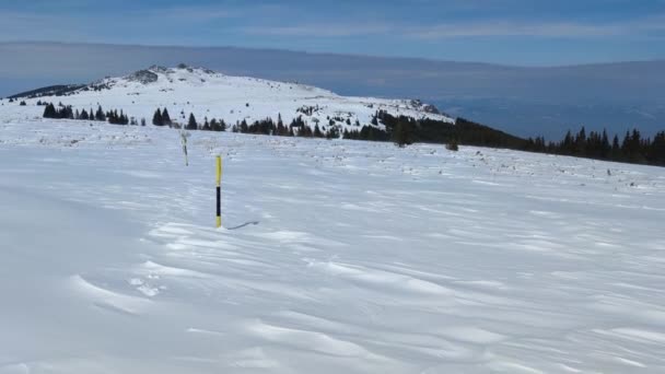 Paysage Hivernal Incroyable Montagne Vitosha Région Sofia Bulgarie — Video