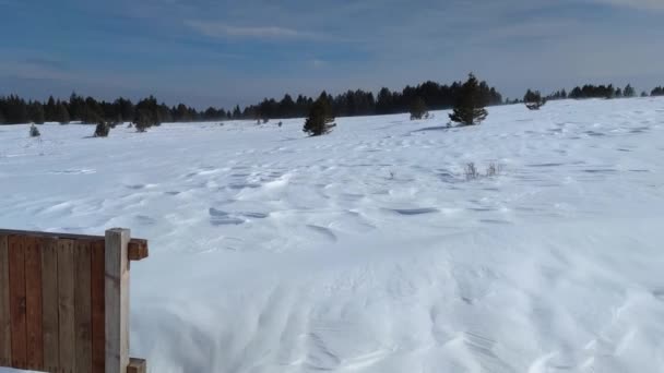 Niesamowity Zimowy Krajobraz Góry Vitosha Obwód Sofijski Bułgaria — Wideo stockowe